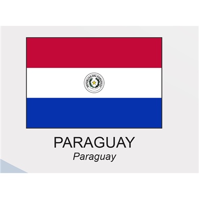 Trio Avm Paraguay Ülke Bayrağı 20 x 30 cm Raşel Kumaş